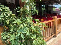 -途肴·老农饭庄(百里峡店)