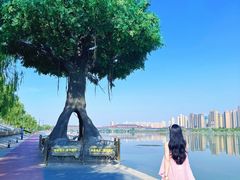 -咸阳湖景区