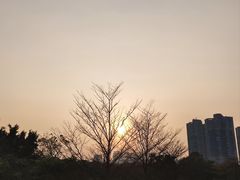 -深圳湾公园(南山区)
