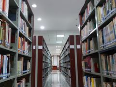 -武汉大学图书馆·文理学部总馆