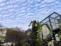 -五合院·整点烤肉