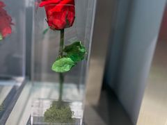 -ROSEONLY诺誓(广州K11店)