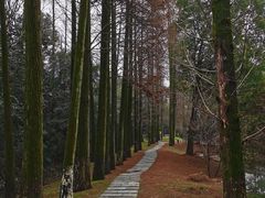 -洪湖悦兮半岛国际温泉度假村