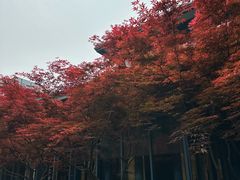 -湖滨客舍·湖北菜