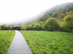 -大水川景区