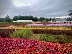 -昆明春城湖畔度假村