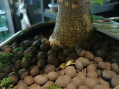 -湘当爱·鲜煮现炒(松岗立业路店)