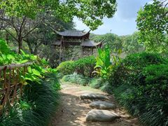 -白马涧龙池景区