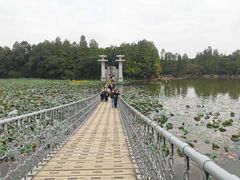-东湖落雁景区