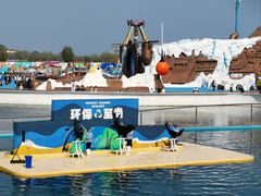 -秦皇岛乐岛海洋王国