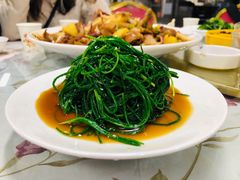 凉拌沙葱-清真·伊清阁餐厅