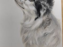 -八哥美术·成人美术画室(总校区)
