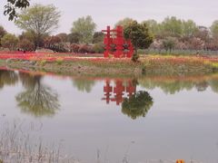 -泗洪洪泽湖湿地景区