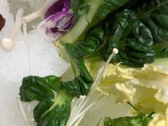 -百草滩羊清水涮羊肉(长城路店)