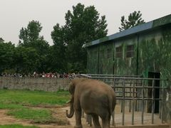 -西安秦岭野生动物园