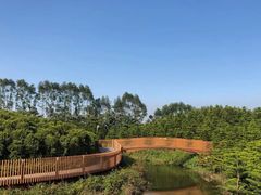 -迪茵湖田家舍生态农场