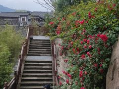 -磁器口古镇