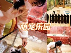 -上海大自然野生昆虫馆(东方明珠·爬宠昆虫探索中心)