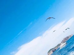 -海驴岛(荣成市)