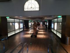 -成都百丽宫影城(LUXE太古里店)