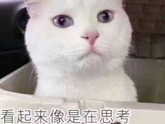 -麦当劳(天兴罗斯福店)