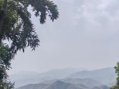 -莫干山风景区