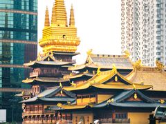 -上海共青森林公园