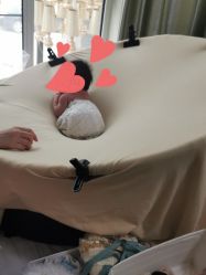 -月来悦好国际月子会所