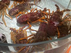 -万龙洲海鲜(大兴绿地缤纷城店)