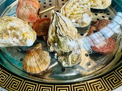 清蒸活生蚝-巧克力渔家.小船海鲜胶东菜(万平口店)