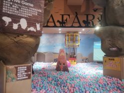 -卡通尼·Safari非洲探索乐园·生日会(金桥国际商业广场店)