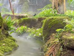 -Chom Cafe and Restaurant