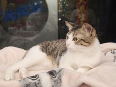 -谜盒子奇幻密室(南屏店)