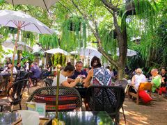 -Fern Forest Cafe