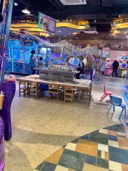 -卡通尼·Safari非洲探索乐园·生日会(金桥国际商业广场店)