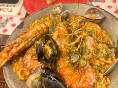 -TOMATITO(无限极荟店)