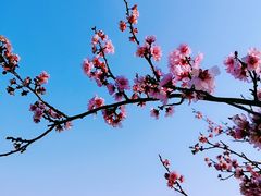 -白塘生态植物园