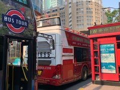 -BUS TOUR观光巴士