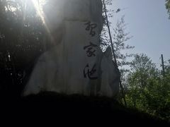 -习家池