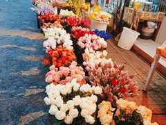 -循礼门鲜花花市(武汉循礼门店)