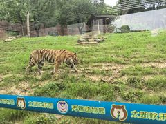 -无锡动物园·太湖欢乐园