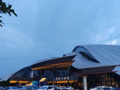 -合肥大剧院