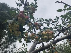 -北京雁栖湖国际会展中心