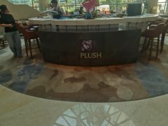 -Plush大堂酒廊(北京金融街威斯汀大酒店)