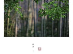 -法云安缦酒店