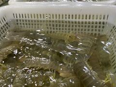 -红月湾海鲜饭店•沙滩海景(双月湾店)