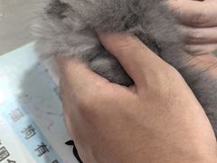 -四月宠物医院·猫专科·心脏专科·内科(转塘店)