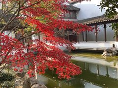 -秋霞圃