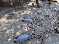 -哈尔滨北方森林动物园
