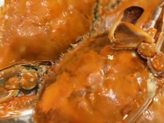 -沈阳和平艾美酒店新食谱西餐厅